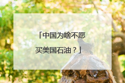 中国为啥不愿买美国石油？
