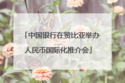 中国银行在赞比亚举办人民币国际化推介会