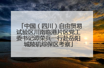 中国（四川）自由贸易试验区川南临港片区党工委书记谭荣兵一行赴岳阳城陵矶综保区考察