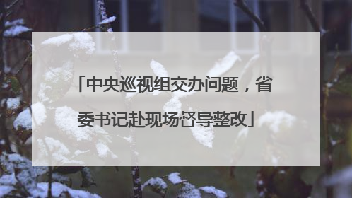 中央巡视组交办问题，省委书记赴现场督导整改