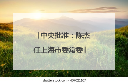 中央批准：陈杰任上海市委常委