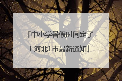 中小学暑假时间定了！河北1市最新通知