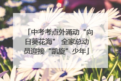 中考考点外涌动“向日葵花海” 全家总动员迎接“凯旋”少年