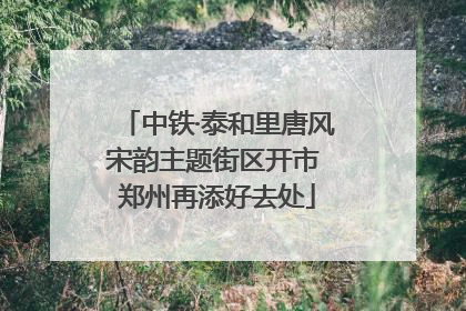 中铁·泰和里唐风宋韵主题街区开市 郑州再添好去处