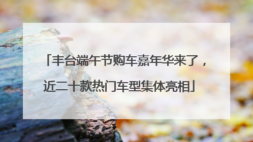 丰台端午节购车嘉年华来了，近二十款热门车型集体亮相