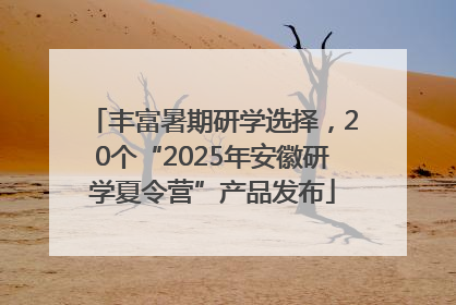 丰富暑期研学选择，20个“2025年安徽研学夏令营”产品发布