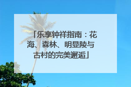 乐享钟祥指南：花海、森林、明显陵与古村的完美邂逅