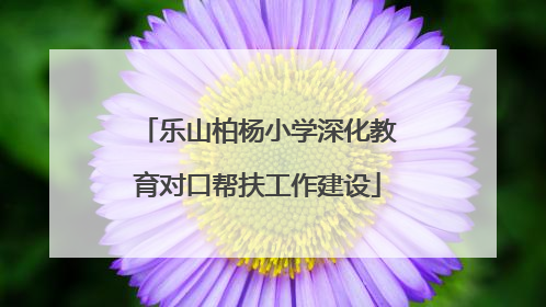 乐山柏杨小学深化教育对口帮扶工作建设