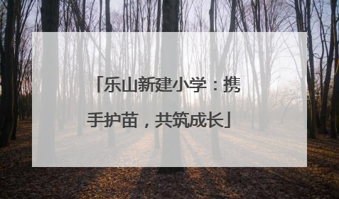 乐山新建小学：携手护苗，共筑成长