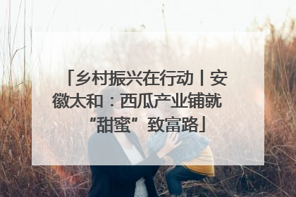 乡村振兴在行动丨安徽太和：西瓜产业铺就“甜蜜”致富路