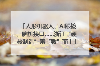 人形机器人、AI眼镜、脑机接口……浙江“硬核制造”乘“数”而上