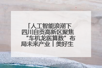 人工智能浪潮下 四川自贡高新区聚焦“车机龙医算数”布局未来产业丨美好生活有“盐”味