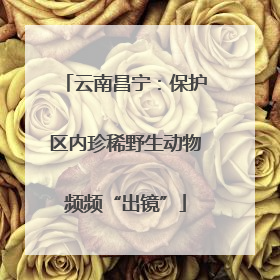 云南昌宁：保护区内珍稀野生动物频频“出镜”