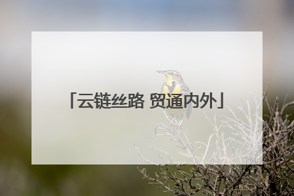 云链丝路 贸通内外