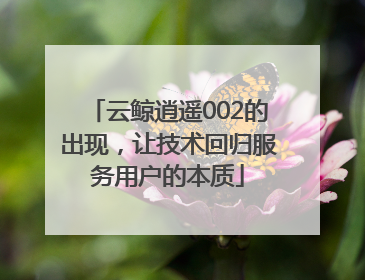 云鲸逍遥002的出现，让技术回归服务用户的本质