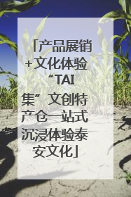 产品展销+文化体验 “TAI集”文创特产仓一站式沉浸体验泰安文化