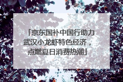 京东国补中国行助力武汉小龙虾特色经济，点燃夏日消费热潮