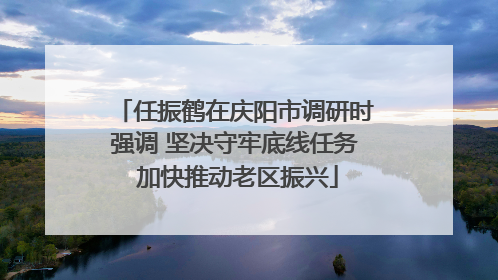 任振鹤在庆阳市调研时强调 坚决守牢底线任务 加快推动老区振兴