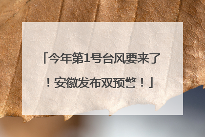 今年第1号台风要来了！安徽发布双预警！