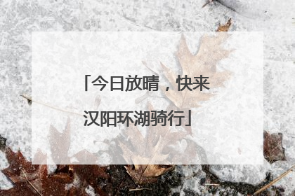 今日放晴，快来汉阳环湖骑行