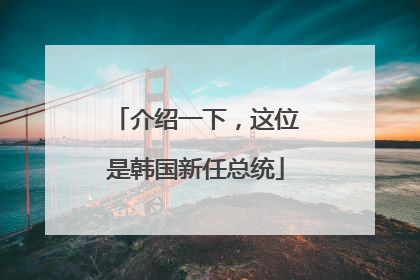 介绍一下，这位是韩国新任总统