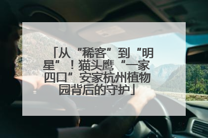 从“稀客”到“明星”！猫头鹰“一家四口”安家杭州植物园背后的守护