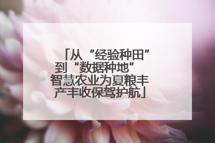 从“经验种田”到“数据种地” 智慧农业为夏粮丰产丰收保驾护航