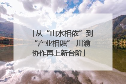 从“山水相依”到“产业相融” 川渝协作再上新台阶