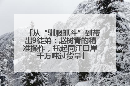 从“驯服抓斗”到带出9徒弟：赵树青的精准操作，托起同江口岸千万吨过货量