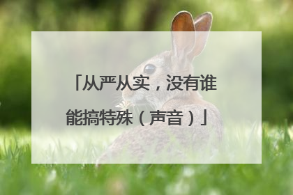 从严从实，没有谁能搞特殊（声音）