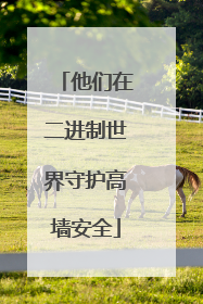 他们在二进制世界守护高墙安全