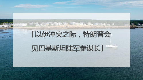 以伊冲突之际，特朗普会见巴基斯坦陆军参谋长