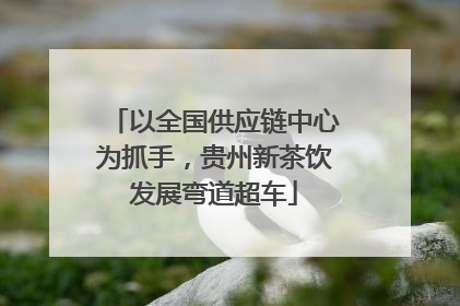 以全国供应链中心为抓手，贵州新茶饮发展弯道超车