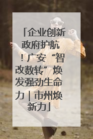 企业创新 政府护航！广安“智改数转”焕发强劲生命力｜市州焕新力