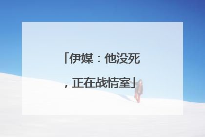 伊媒：他没死，正在战情室