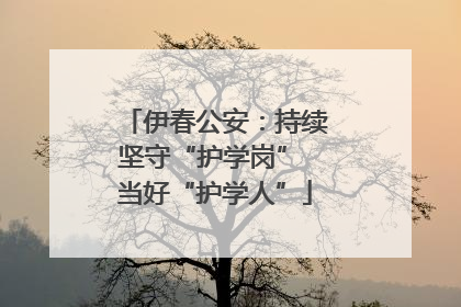 伊春公安：持续坚守“护学岗” 当好“护学人”