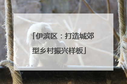 伊滨区：打造城郊型乡村振兴样板