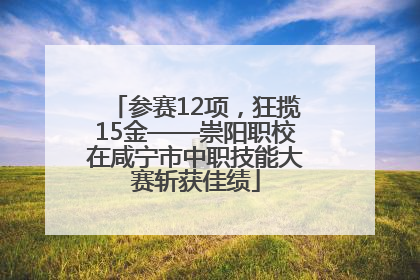 参赛12项，狂揽15金——崇阳职校在咸宁市中职技能大赛斩获佳绩