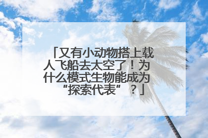 又有小动物搭上载人飞船去太空了！为什么模式生物能成为“探索代表”？