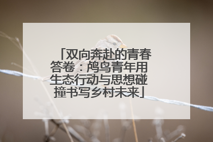 双向奔赴的青春答卷：鸬鸟青年用生态行动与思想碰撞书写乡村未来