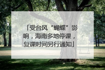 受台风“蝴蝶”影响，海南多地停课，复课时间另行通知