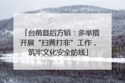 台前县后方镇：多举措开展“扫黄打非”工作，筑牢文化安全防线