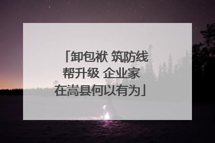 卸包袱 筑防线 帮升级 企业家在嵩县何以有为