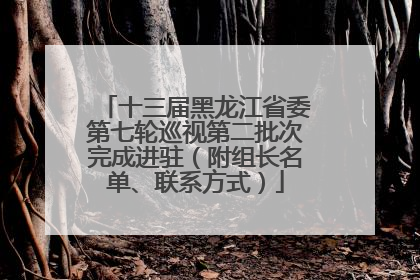 十三届黑龙江省委第七轮巡视第二批次完成进驻（附组长名单、联系方式）