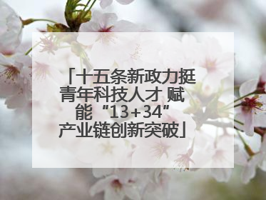 十五条新政力挺青年科技人才 赋能“13+34”产业链创新突破