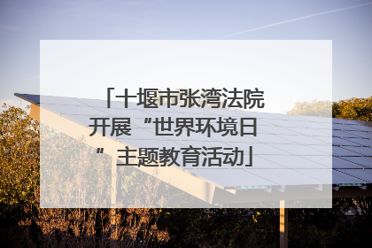 十堰市张湾法院开展“世界环境日”主题教育活动