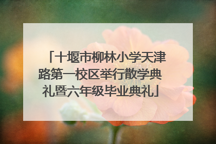 十堰市柳林小学天津路第一校区举行散学典礼暨六年级毕业典礼