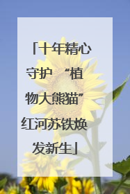 十年精心守护 “植物大熊猫”红河苏铁焕发新生
