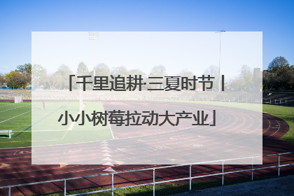 千里追耕·三夏时节丨小小树莓拉动大产业