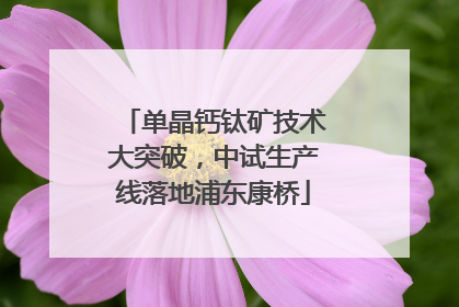 单晶钙钛矿技术大突破，中试生产线落地浦东康桥